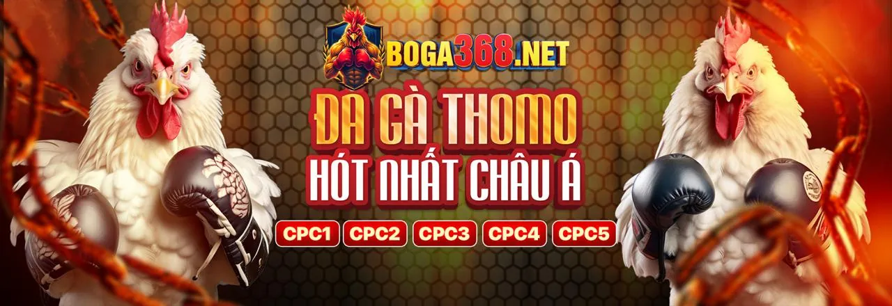 Hình ảnh chính trang hỗ trợ bsport code