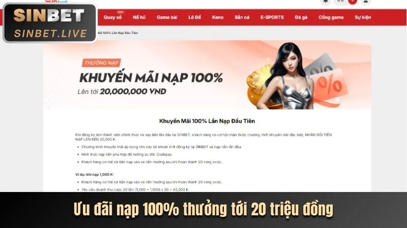 Hướng dẫn đăng ký bsport code